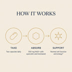 An infographic titled 'HOW IT WORKS' on a warm beige background, showing three circular steps: a capsule labeled 'TAKE' for two capsules daily, a hexagon labeled 'ABSORB' for 500 mg NAD+ with quercetin and knotweed, and a star labeled 'SUPPORT' for normal cell function and energy.