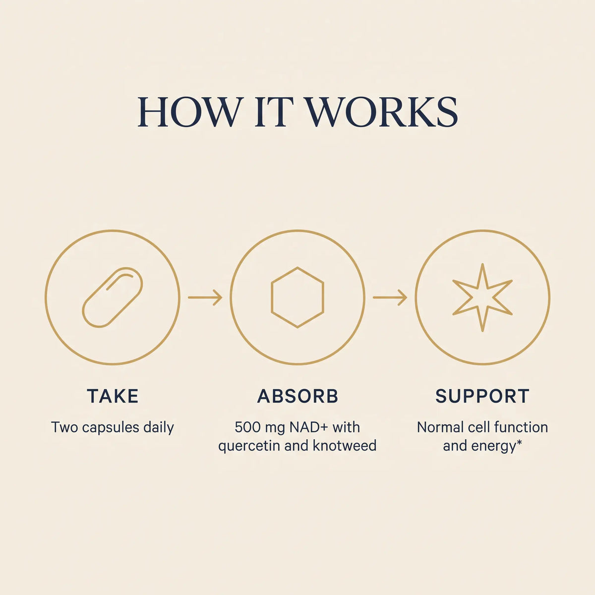 An infographic titled 'HOW IT WORKS' on a warm beige background, showing three circular steps: a capsule labeled 'TAKE' for two capsules daily, a hexagon labeled 'ABSORB' for 500 mg NAD+ with quercetin and knotweed, and a star labeled 'SUPPORT' for normal cell function and energy.
