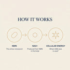 An infographic titled 'HOW IT WORKS' on a warm beige background, showing three circular steps.