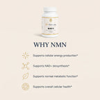 An informational graphic on a warm cream background with the heading 'WHY NMN' and four gold-outlined icons and phrases.