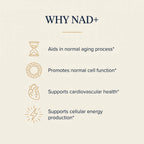 An informational graphic on a warm cream background with the heading 'WHY NAD+' and four gold-outlined icons and phrases: an hourglass for normal aging, a ring of cells for cell function, a heart for cardiovascular health, and a lightning bolt for cellular energy production.